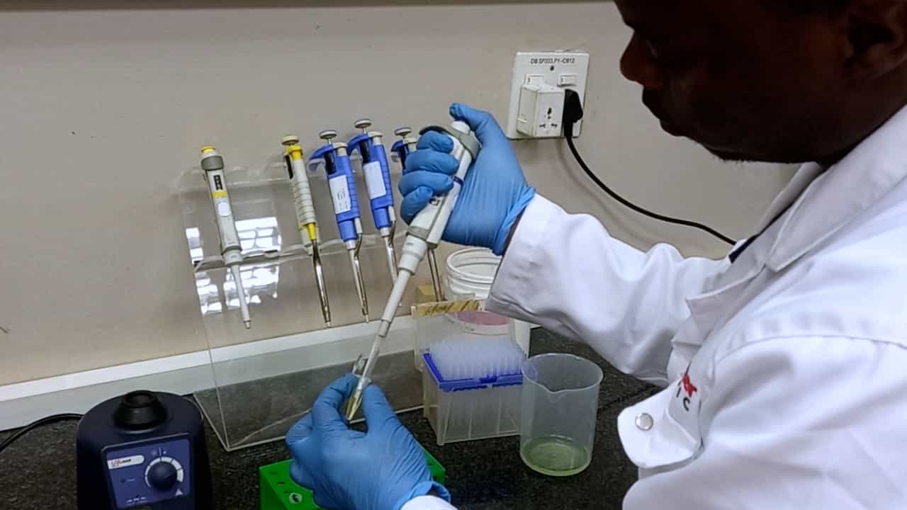 Escherichia coli -Based Complementation Assay to Study the Chaperone Function of Heat Shock Protein 70