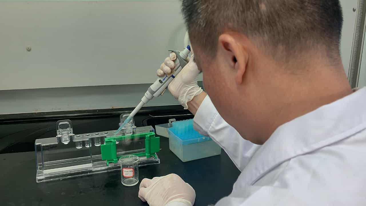 Author Spotlight: Time and Cost-Effective Fibrinogen-PAGE for Fibrinogenolytic Studies