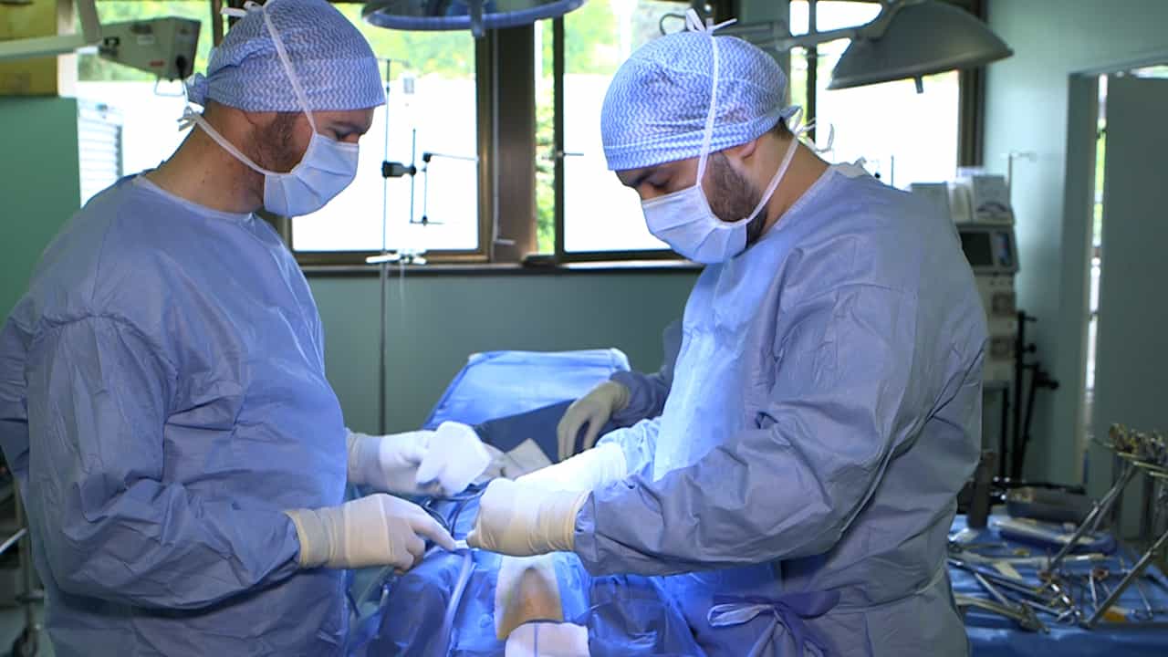 Author Spotlight: Innovative Technique for Coronary Angiography in Marginal Donors