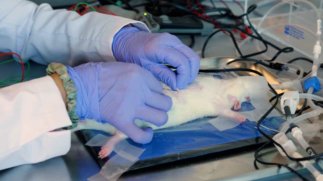 Author Spotlight: Studying Neuromuscular Responses and Motor Neuron Plasticity in Neurodegenerative Diseases