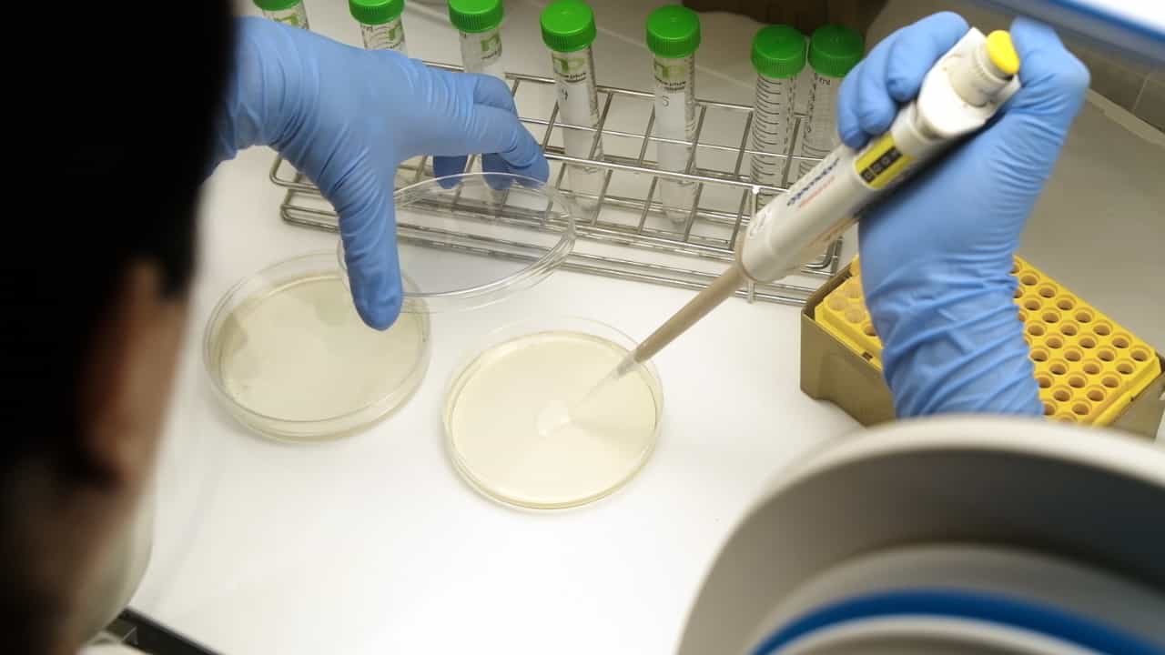 Author Spotlight: Advancing Intestinal Bacteria Cultivation for Poultry