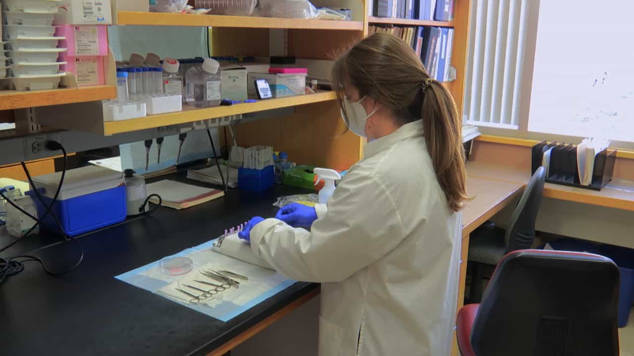 Author Spotlight: Understanding Disease Mechanisms Through Real-Time Analysis of T-Cell Migration