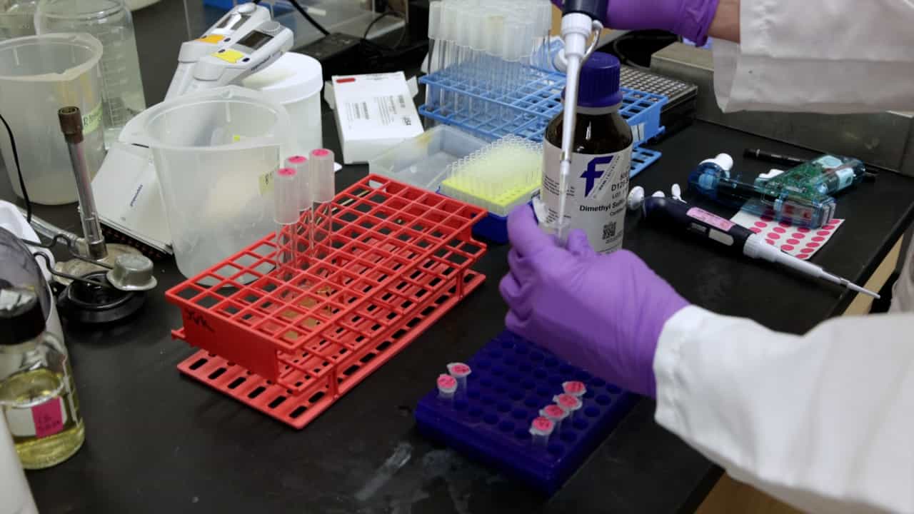 Synthesis and Assay of Vibrio Quorum Sensing Inhibitors