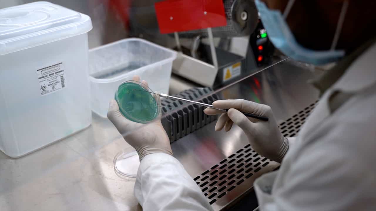 Author Spotlight: Accelerating Diagnostic Accuracy with Direct Identification of Gram-Negatives from Blood Culture Bottles