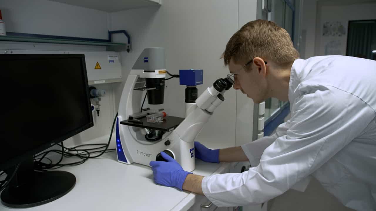 Author Spotlight: Developing Immunocompetent Organ-on-Chip Models for Infectious Disease Research