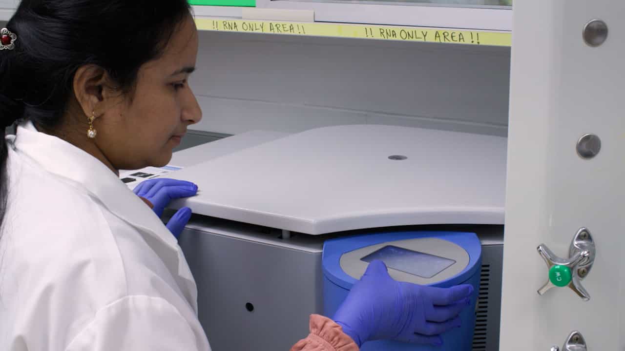 Neonatal Mouse Bone Marrow Isolation and Preparation of Bone Marrow-Derived Macrophages