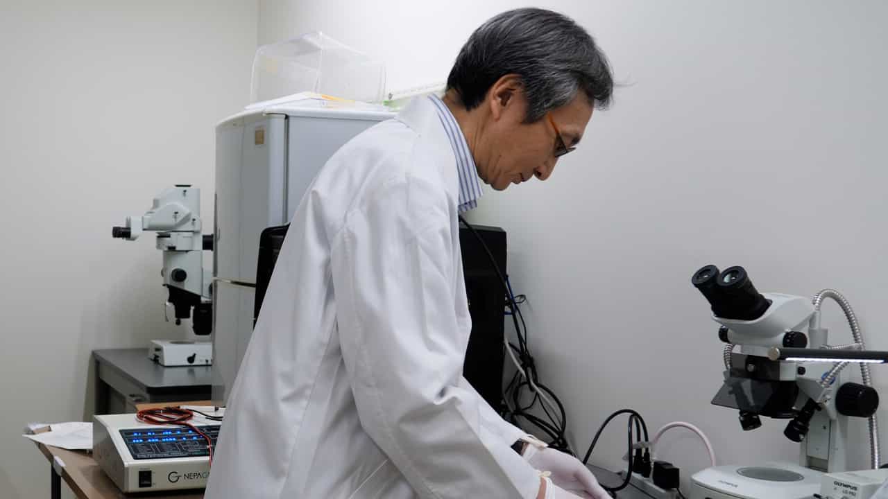 Author Spotlight: Exploring Cell Migration and Gene Roles in the Developing Brain