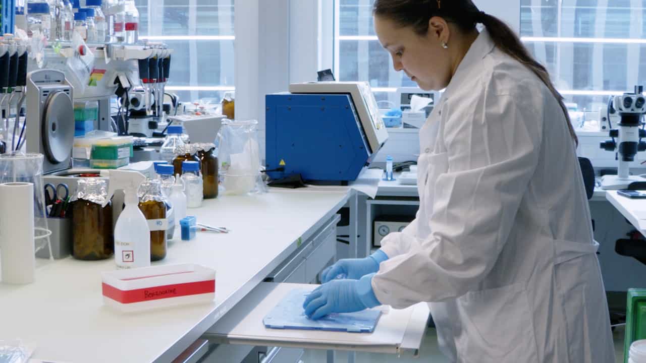 Author Spotlight: Exploring Regeneration in Axolotls Through Insights in Cellular and Molecular Mechanisms, Bone Healing, and Implications for Human Therapies