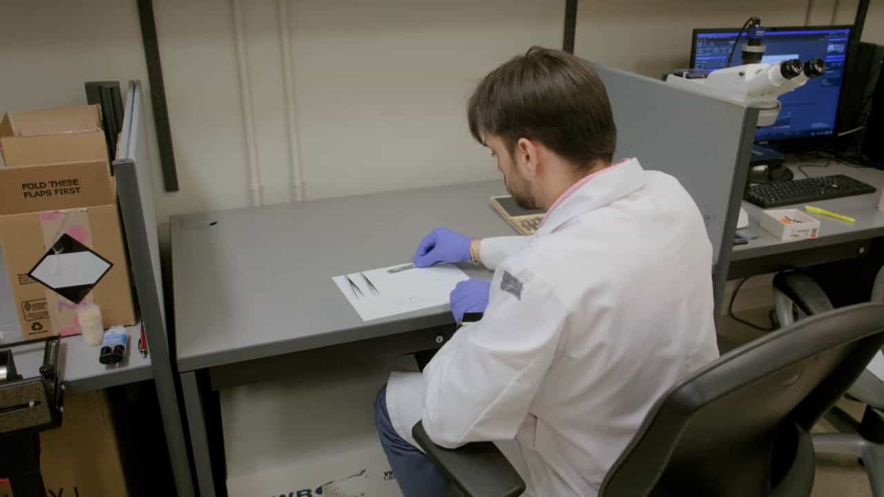 Author Spotlight: Development of Bio-Hybrid AFM Cantilevers for Quantitative Analysis of Mosquito Biting Mechanisms