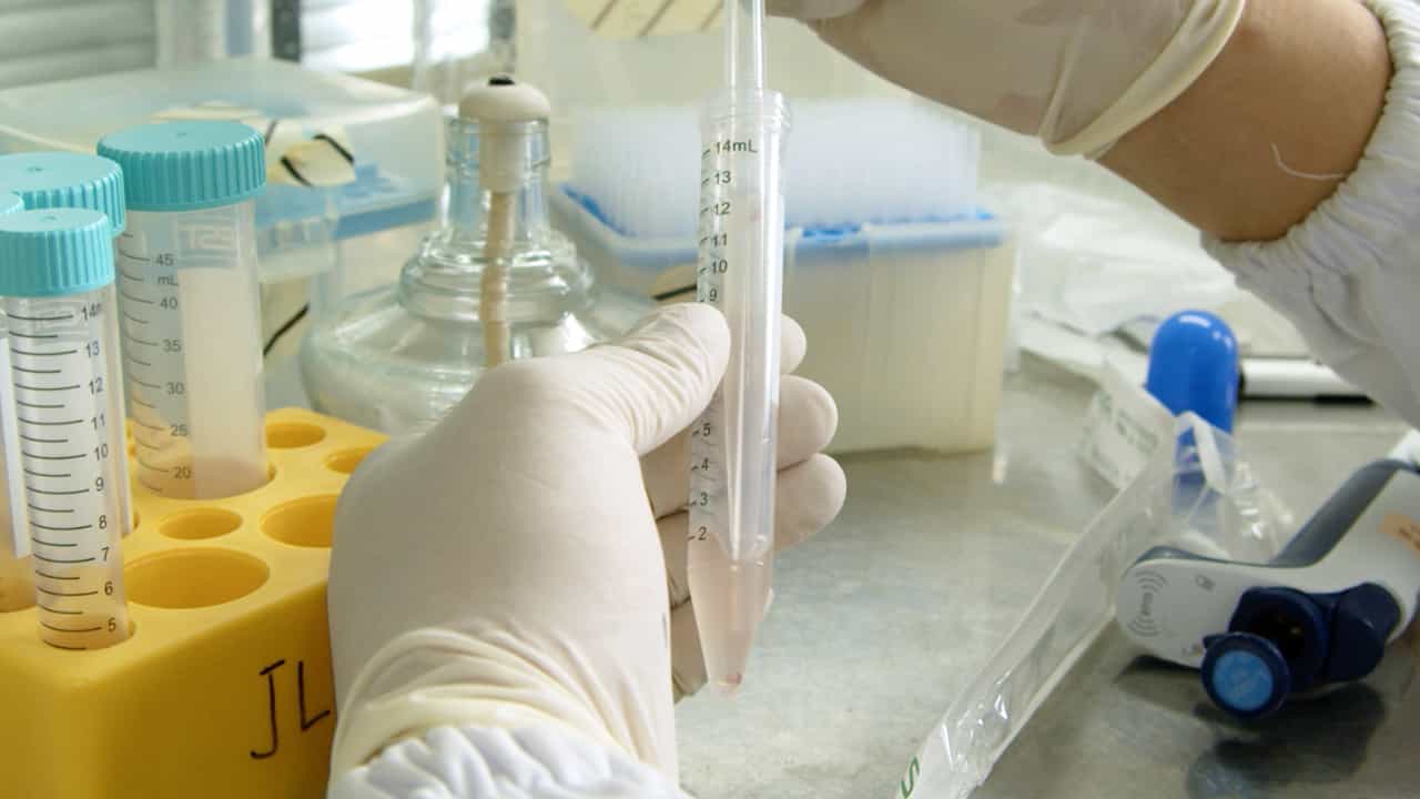 Author Spotlight: Achieving High-Purity In Vitro Differentiation of Th17 Cells Using Cytokine Concentration Modulation