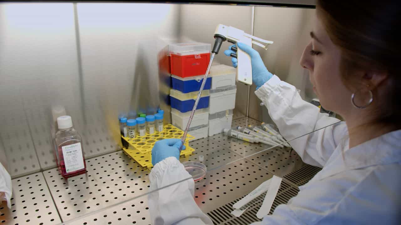 Monitoring the Cancer-Immunity Cycle and Exploring Tumor Microenvironment Dynamics