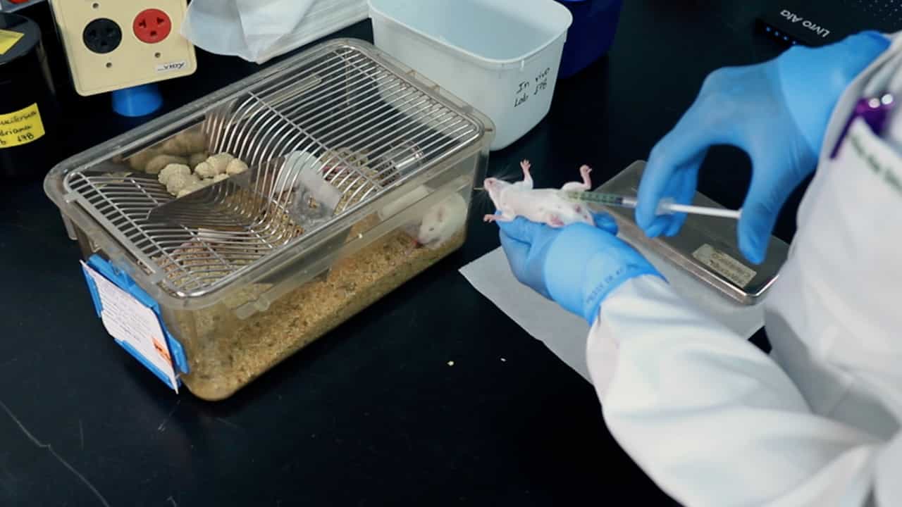 Author Spotlight: Real-Time Monitoring of Parasite Burden and Host Response