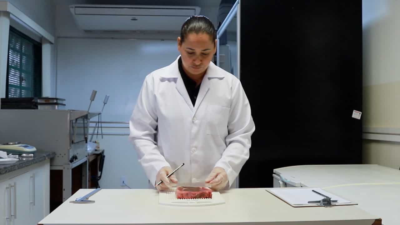 Author Spotlight: Improving Beef Cattle Nutrition and Production with a Focus on Feed Efficiency and Meat Quality Traits Through Advanced Biochemical and Molecular Assays