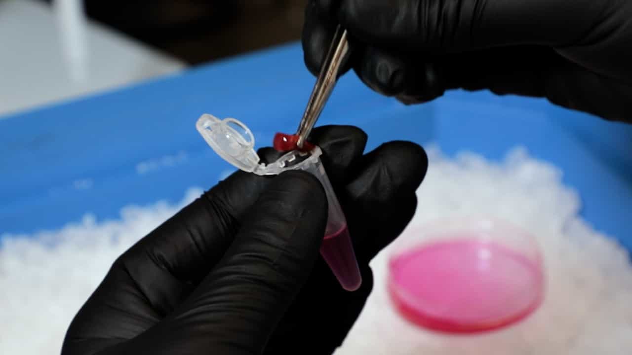 Author Spotlight: Exploring Strategies for Successful Immune Response Against Tumors