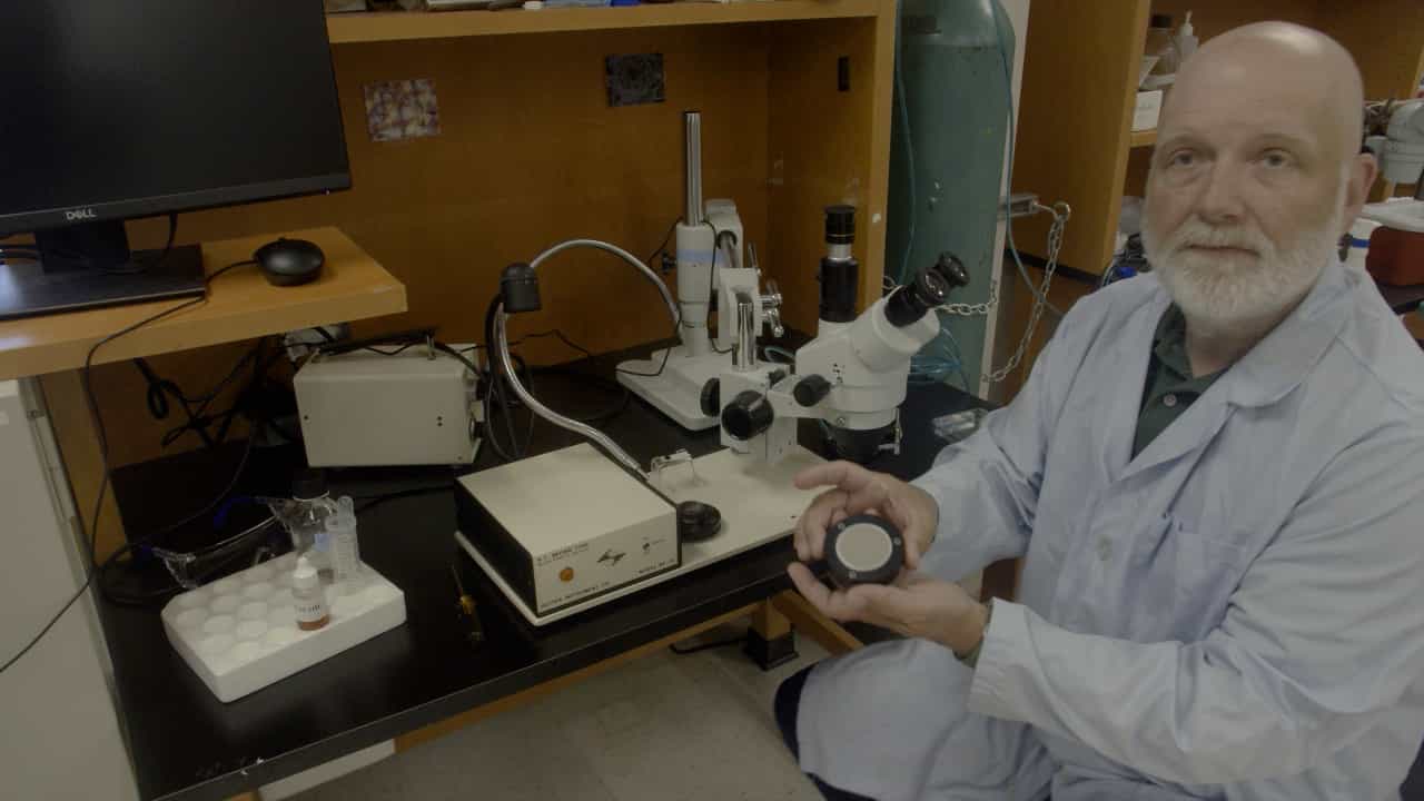 Author Spotlight: Enhancing Microinjection Needle Quality by Wet Beveling