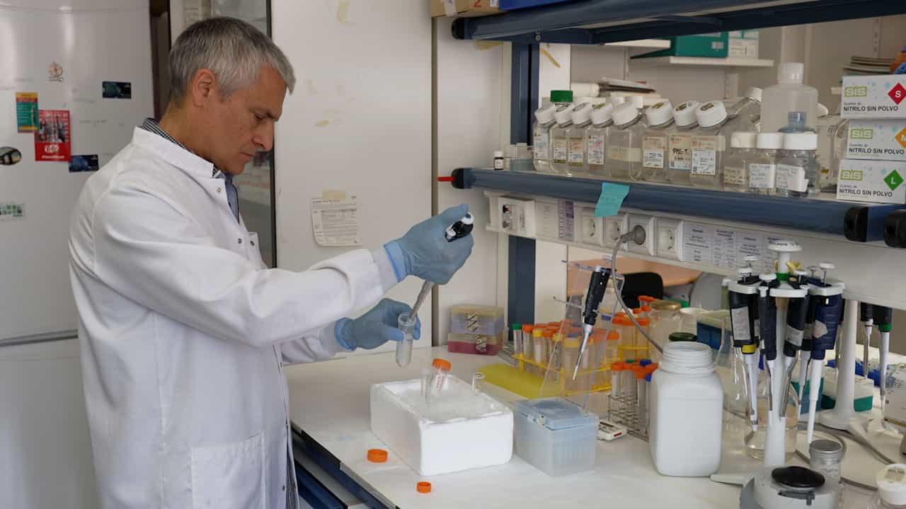 Isolation of Mitochondria for Mitochondrial Supercomplex Analysis from Small Tissue and Cell Culture Samples