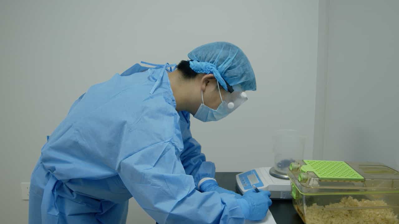 Preparing a Mice Model of Severe Acute Pancreatitis via a Combination of Caerulein and Lipopolysaccharide Intraperitoneal Injection