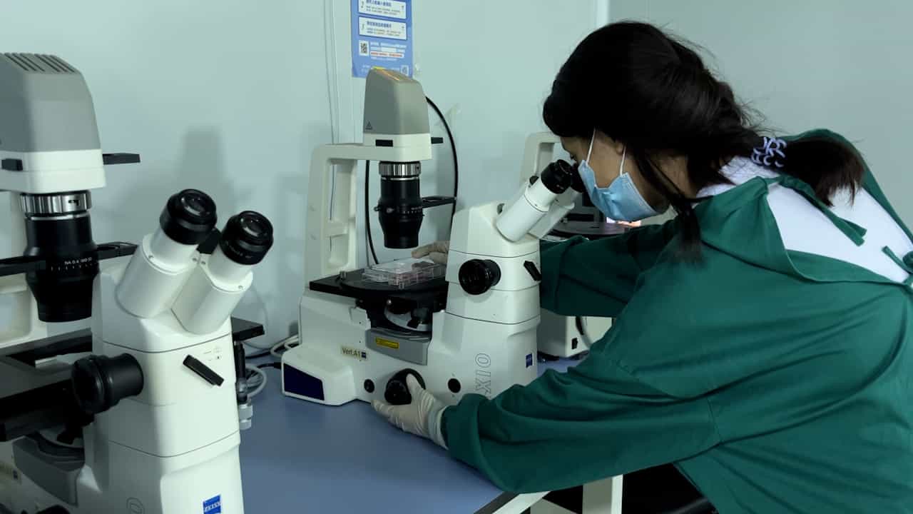 Author Spotlight: Enhancing PSC-to-Functional Cell Differentiation Using ML Models Based on Live-Cell Bright-Field Imaging
