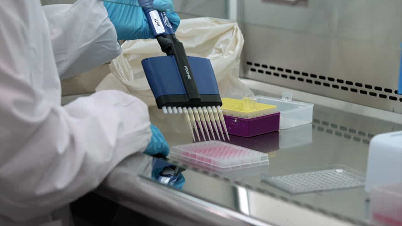 Assay Development for High-Throughput Drug Screening Against Mycobacteria