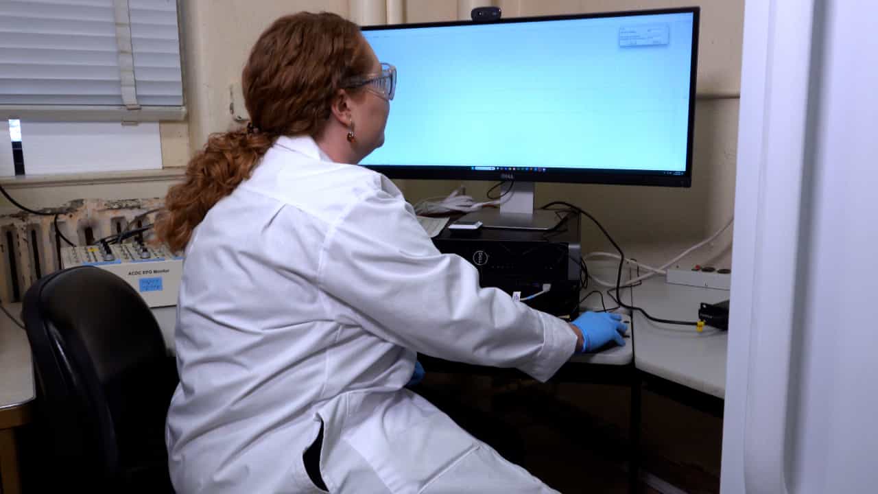 AC-DC Electropenetrography for the Study of Probing and Ingestion Behaviors of Culex tarsalis Mosquitoes on Human Hands