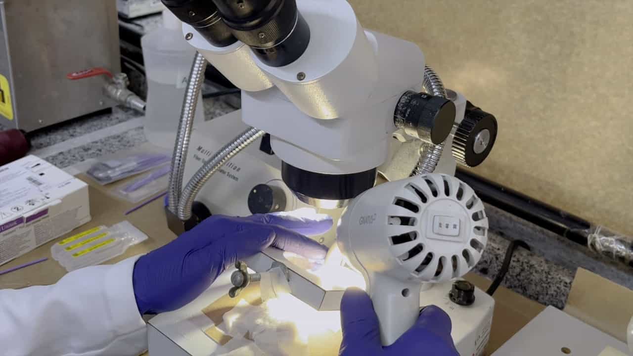 Studying Orthodontic Tooth Movement in Mice