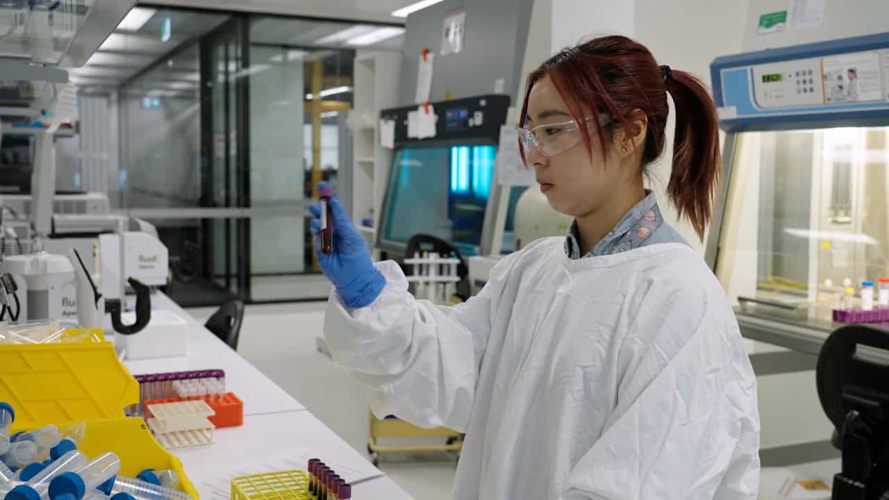Author Spotlight: Advancements in PBMC Isolation – Enhancing Throughput and Consistency in Research