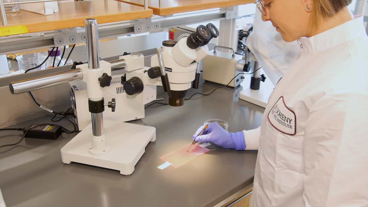 Author Spotlight: Investigating Vascular Stiffness and Inflammation in Early Diabetic Retinopathy