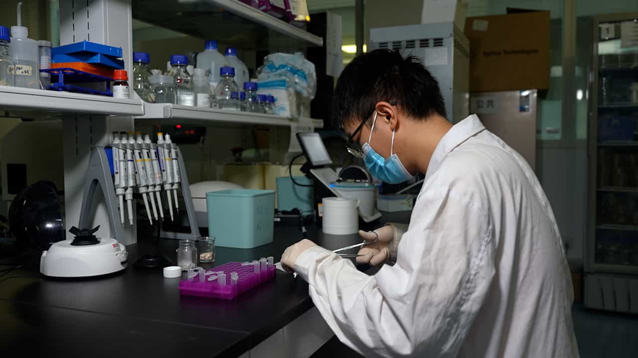 Author Spotlight: Harnessing DNA Barcode Technology to Enhance the Efficiency of Medicinal Plant Identification