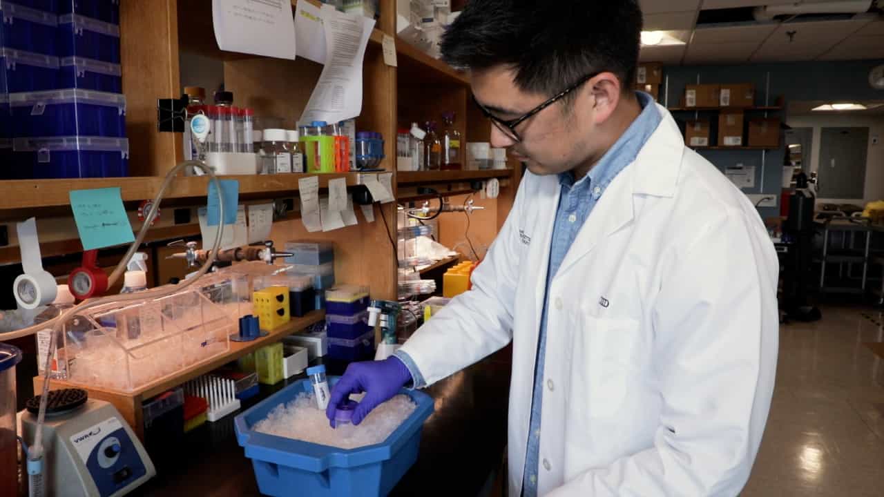 Author Spotlight: Optimized Protocol for Detecting Antigen-Specific T Cells in Mouse Lungs Using Tetramers