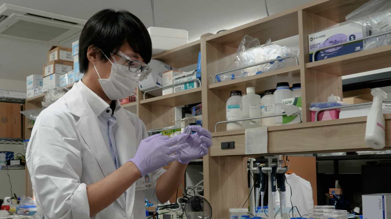Technique for Intranasal Administration of α-Synuclein Aggregates