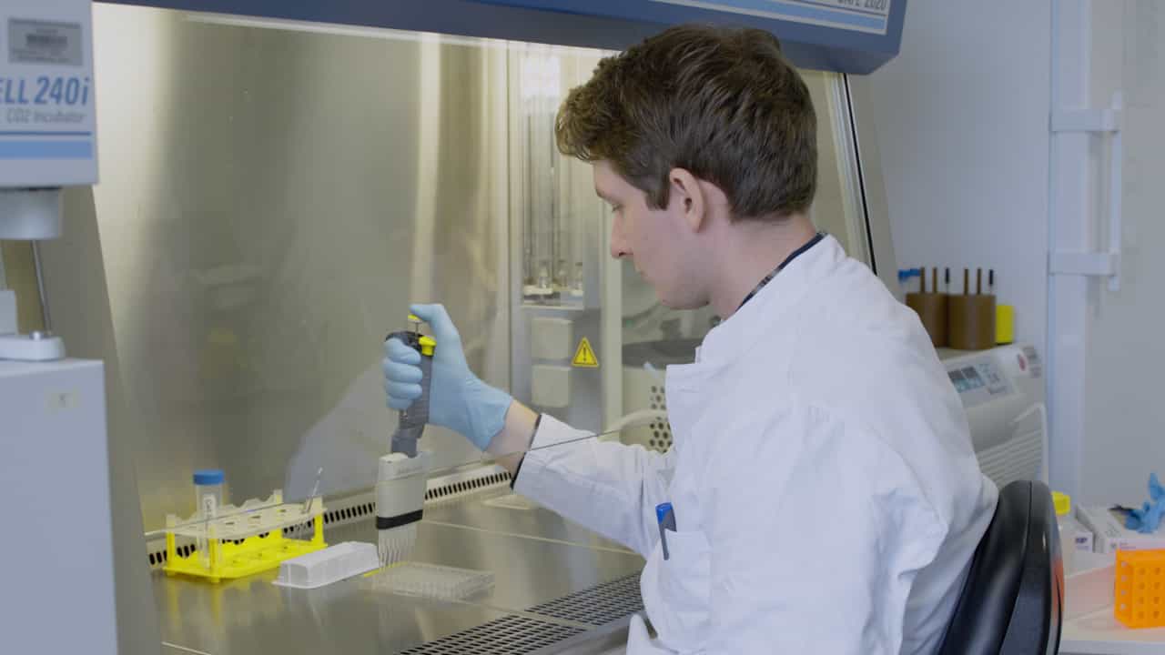 Investigating Angiogenesis on a Functional and Molecular Level by Leveraging the Scratch Wound Migration Assay and the Spheroid Sprouting Assay