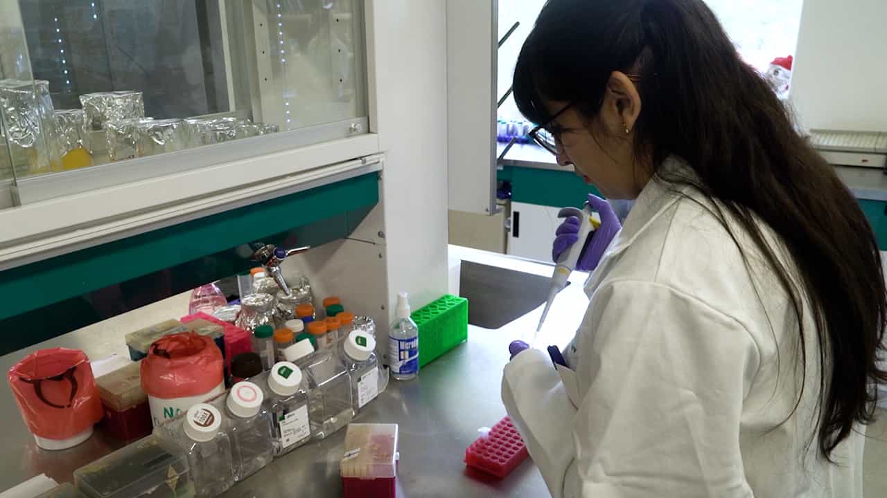 Author Spotlight: Isolating Biomolecules from Mouse Tears — A Methodology for Molecular Analysis and Biomarker Research