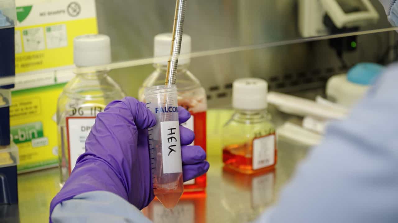 Author Spotlight: Developing Novel Anticancer Therapeutics Targeting the DNA Damage Response