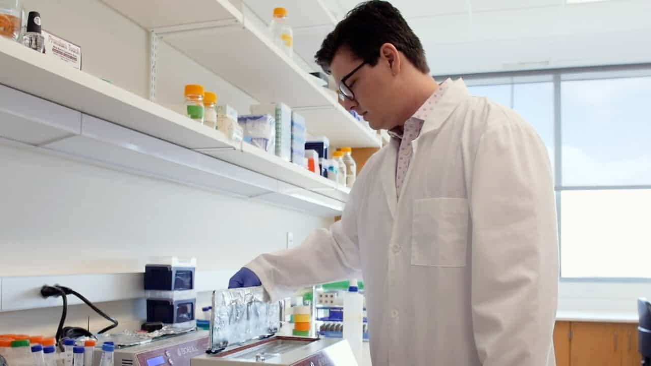 Author Spotlight: FISH as a Tool for Precise Gene Amplification Assessment in Cancer Specimens