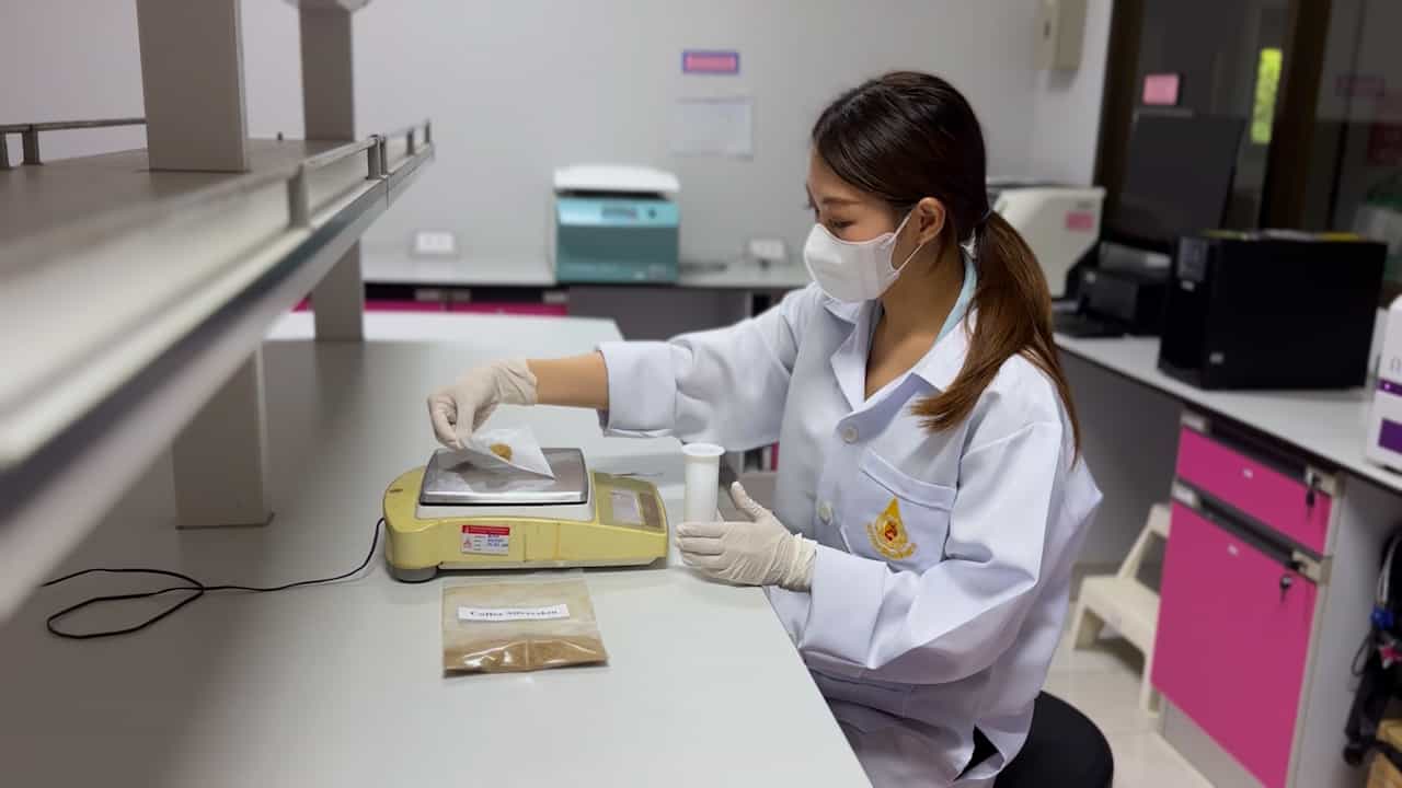 Author Spotlight: Eco-Friendly Extraction of Bioactive Compounds Using Polyol-Based Microwave-Assisted Techniques
