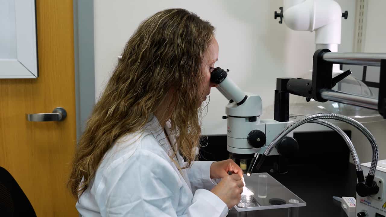 Author Spotlight: Investigating the Mechanisms of Neural Circuit Assembly and Synapse Formation in Drosophila