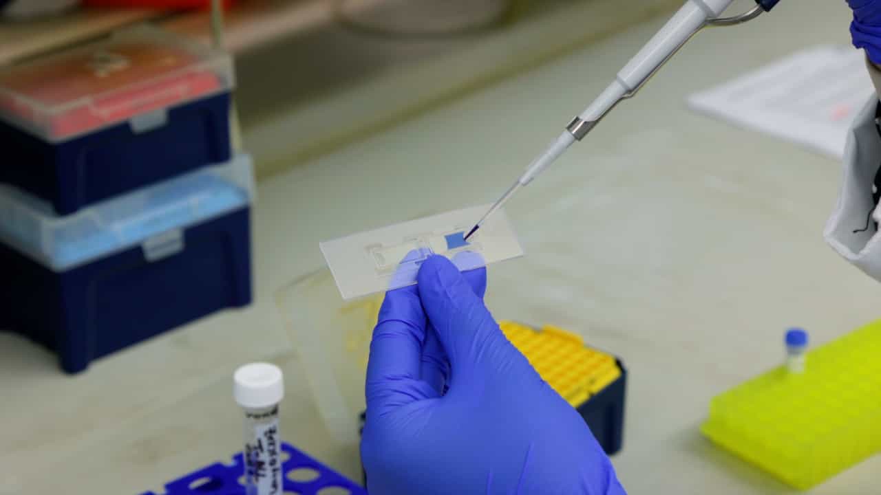 Author Spotlight: Identification and Isolation of Quiescent Leukemia Stem Cells from Zebrafish T-ALL