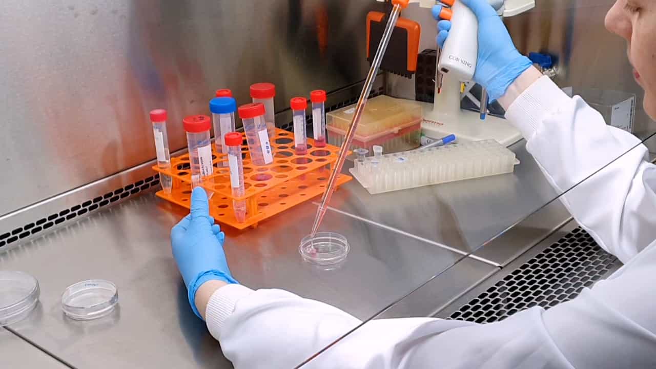 Author Spotlight: Combining Proximity Ligand Assay with Gamma-H2AX Staining to Characterize Protein Interactions in DNA Damage Response