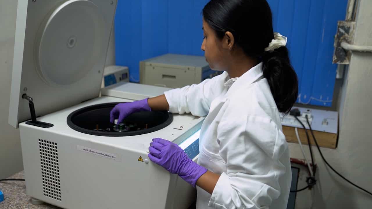 Author Spotlight: Identifying Compensatory Pathways in Malaria Parasites Containing Hypomorphic Allele of Essential Protein Kinases