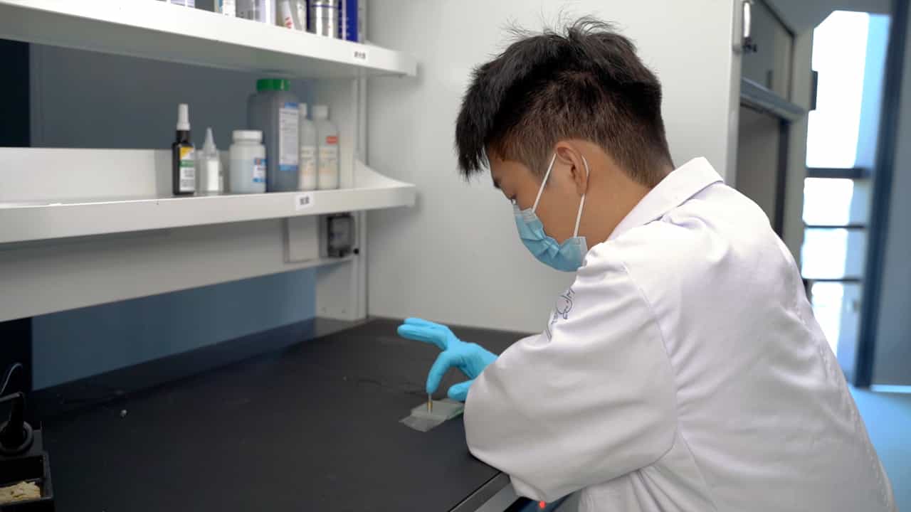 Author Spotlight: Integration of Fiber Photometry and Focused Ultrasound Neuromodulation for Investigating Neural Modulation in Freely Moving Mice