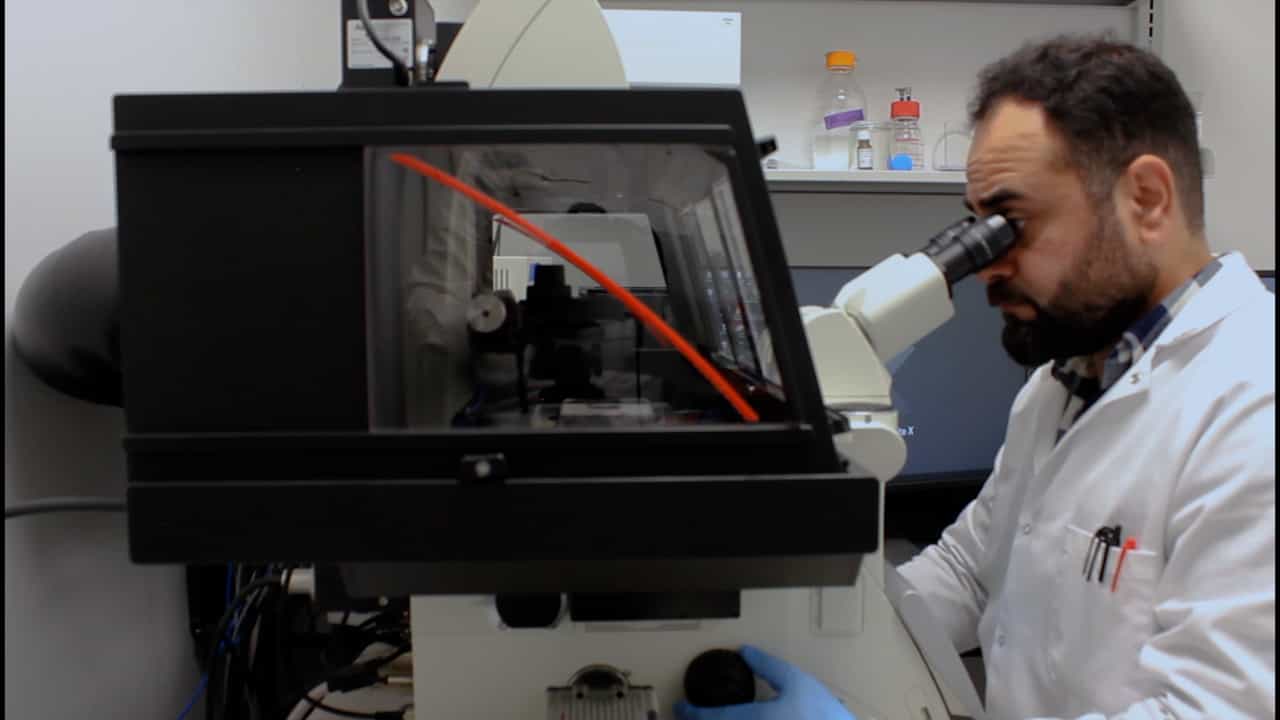 Determining Ciliary Function and Membrane Impermeability of the Pseudostratified Lung Airway Epithelium