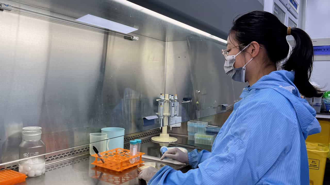 Author Spotlight: Innovative Microneedle-Based Strategies for Enhanced Exosome Delivery and Stability