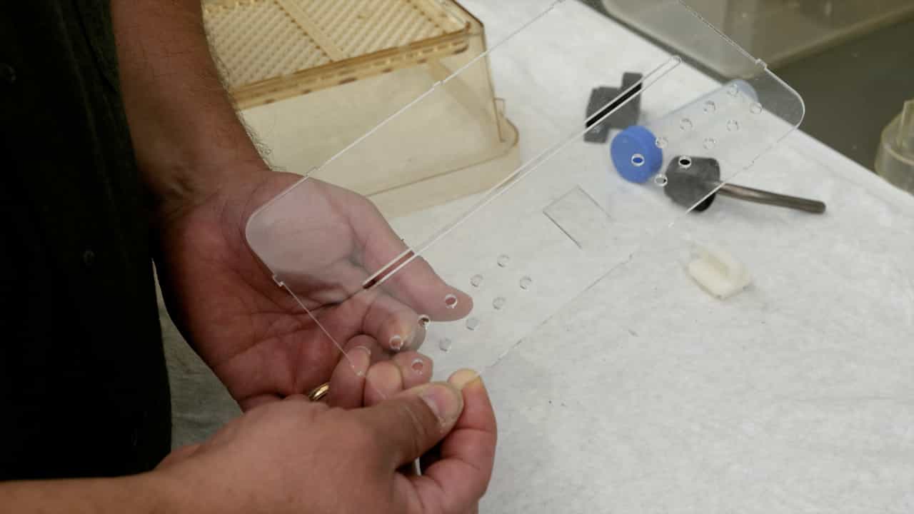 A Do-it-yourself System for Scheduled Feeding of Laboratory Rodents in Their Home Cage