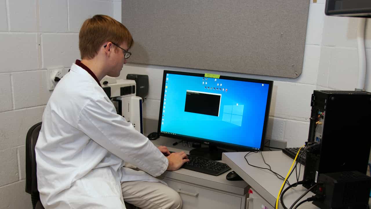 Author Spotlight: Deciphering Electrical Networks Behind Complex Brain Activities and Disorders