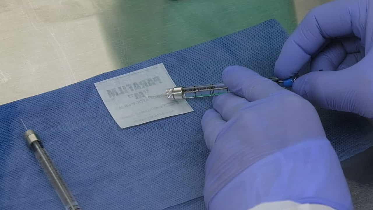 Lumbar Intrathecal Injection of Gene Therapy Vectors for Central Nervous System Targeting in Mice and Rats