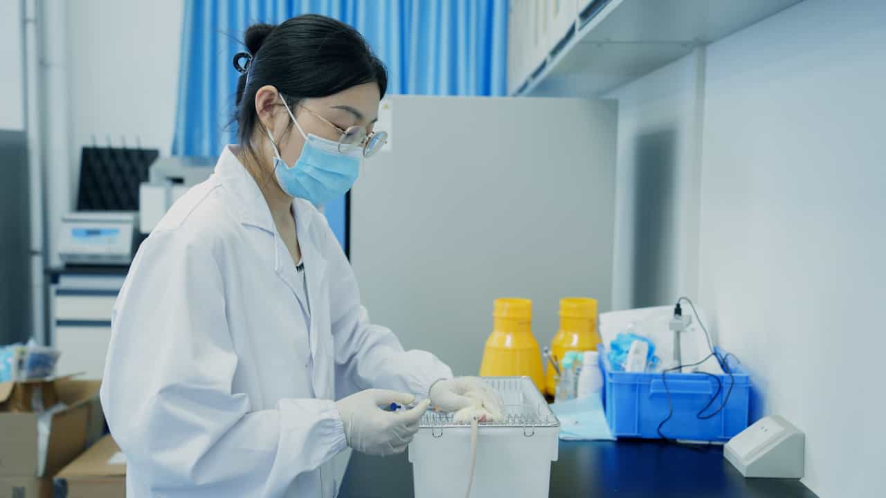 Author Spotlight: Enhancing Cerebral Ischemia Research with a Simplified Rat Model