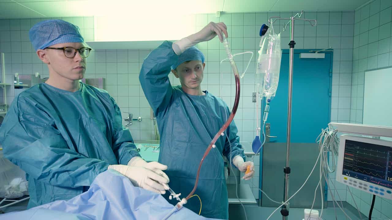 A Porcine Model of Acute Autologous Pulmonary Embolism