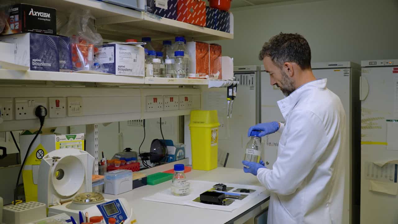 Optimized and Simplified Technique for the Production and Culture of Precision-Cut Liver Slices