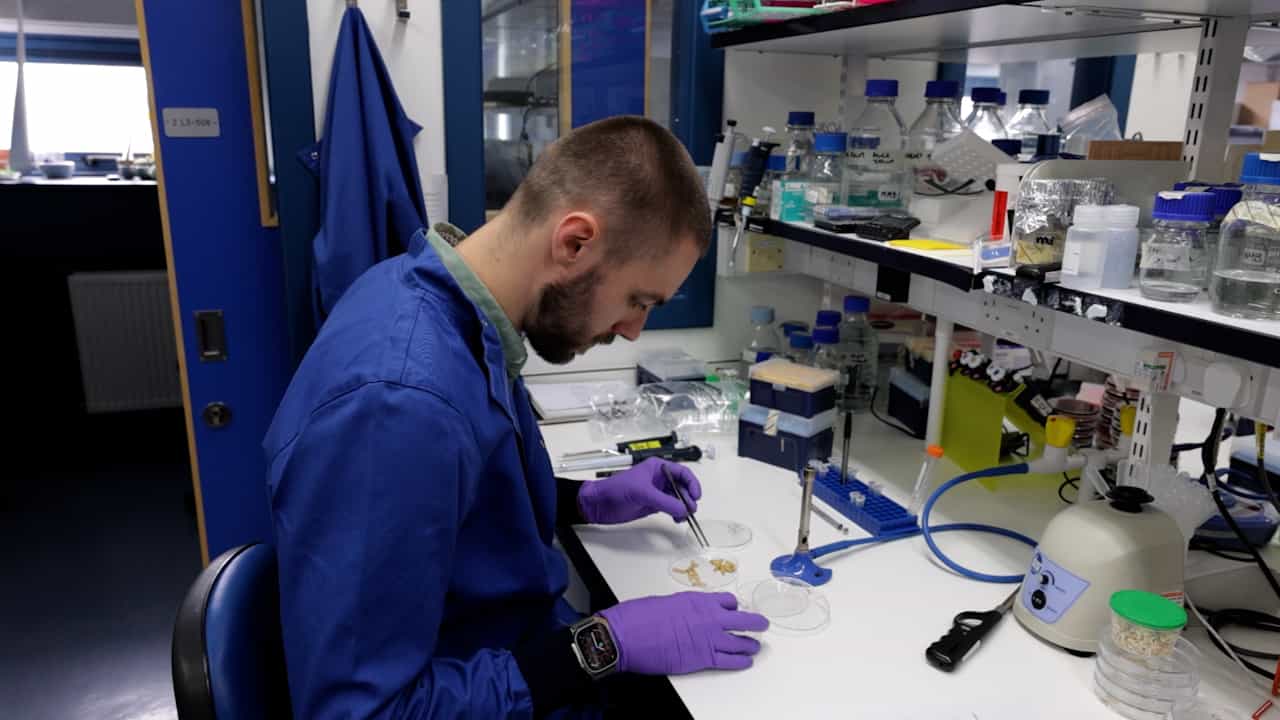 Author Spotlight: Characterizing Airway Environments to Advance Model Systems and Antimicrobial Discovery in Cystic Fibrosis and Chronic Respiratory Infections