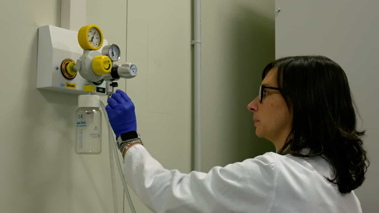 Setting a Successful Sorting for Extracellular Vesicle Isolation